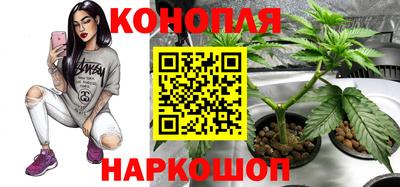 spice Кунгур