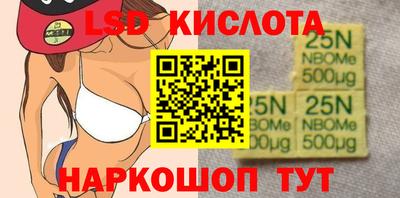 индика Кулебаки
