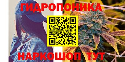 spice Кунгур