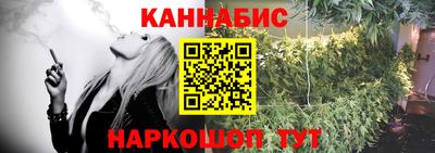 индика Кулебаки