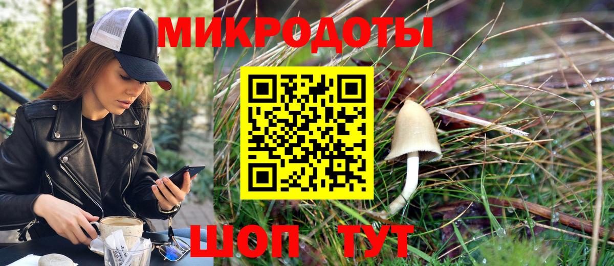 купить закладку  Галлюциногенные грибы MAGIC MUSHROOMS  Вход с VPN  Дмитров 
