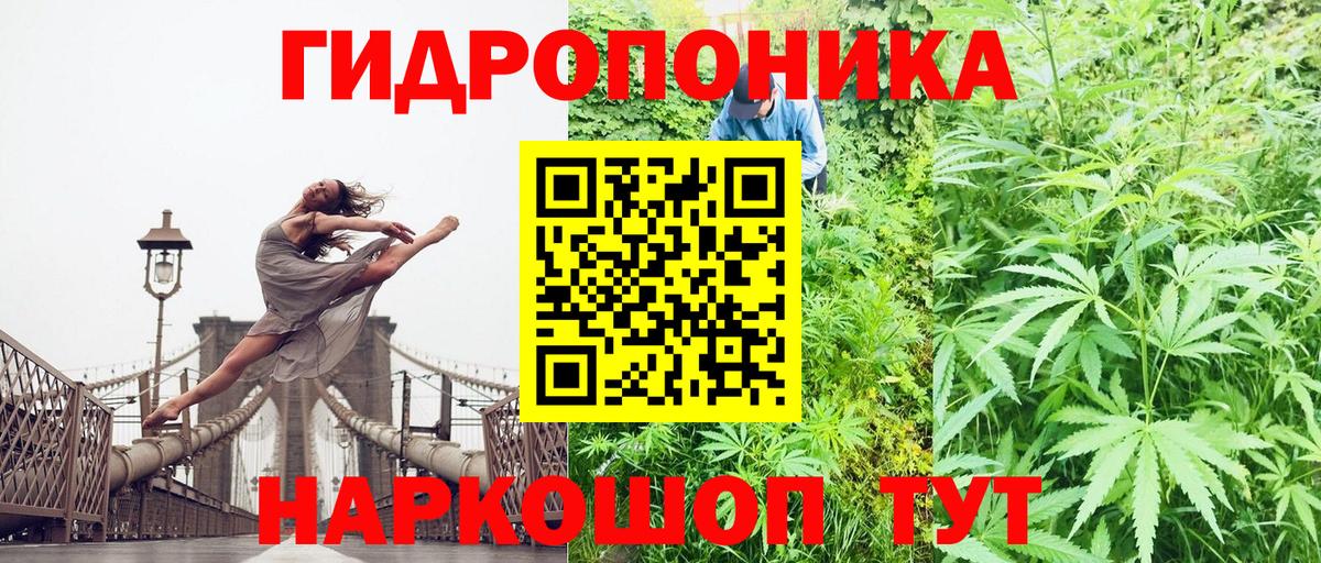 Конопля семена  Каннабис семена  Дмитров  Вход с VPN 